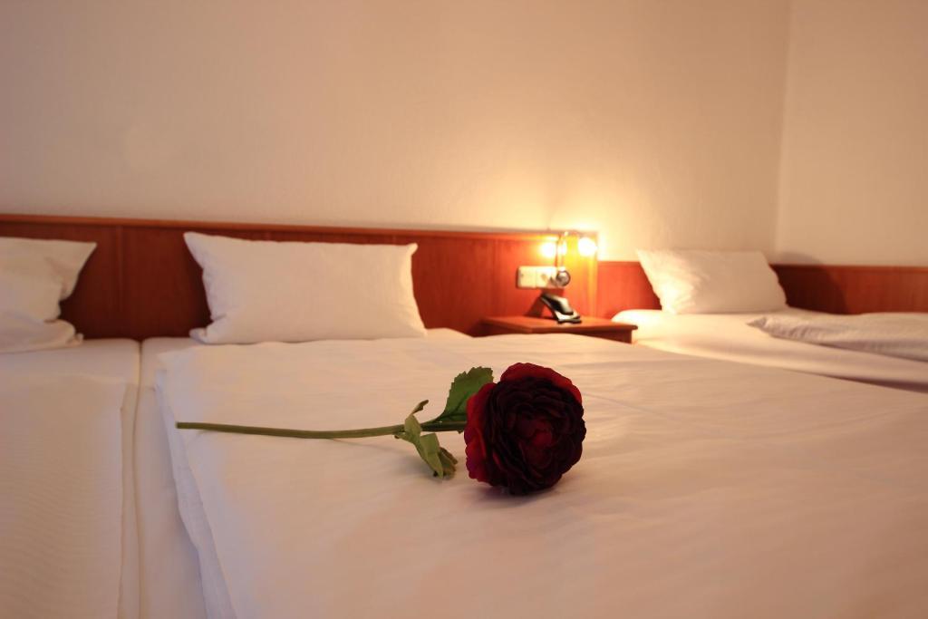 Altstadthotel Fürth Extérieur photo